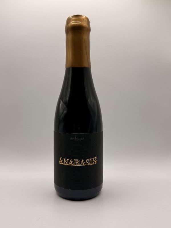 Side Project Anabasis 10 year