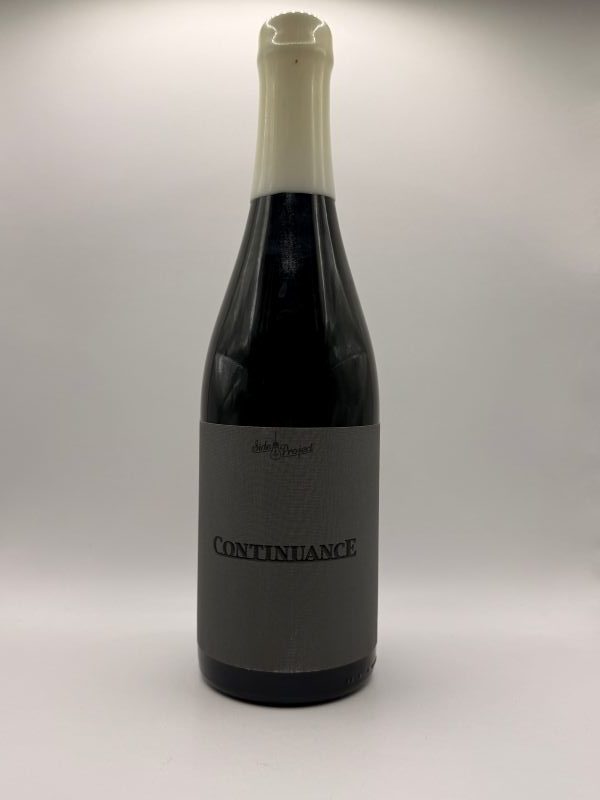 Side Project Continuance 2