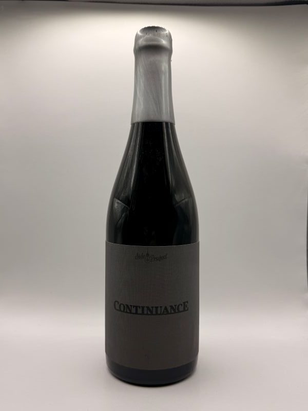 Side Project Continuance (Blend #6)