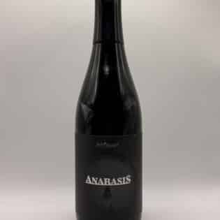 Side Project — Anabasis (2025)