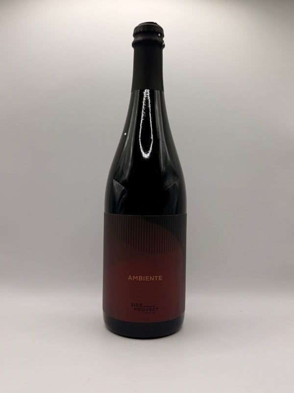 Side Project Ambiente 2025