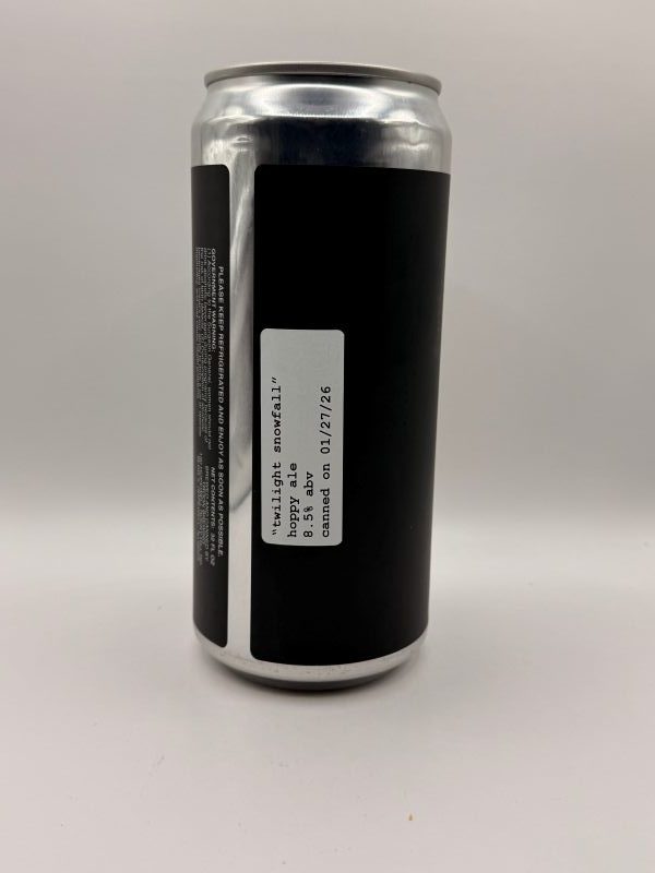 Troon Twilight Snowfall 27.1.26